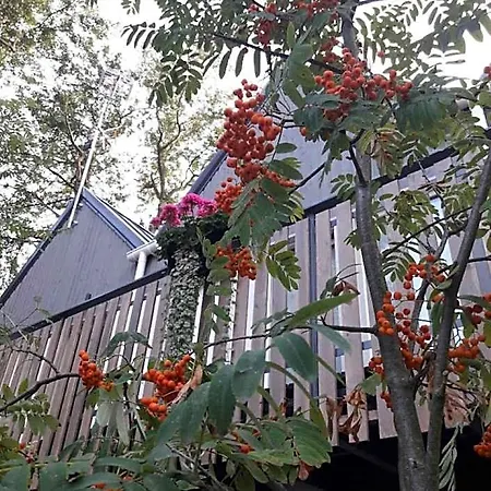 Parkova * Dziwnów